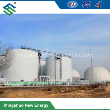 Anaerobic Digester Plant for Cow Farm Waste Treatment